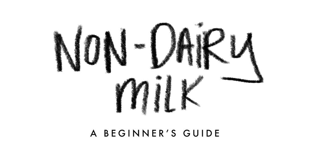 A Beginner's Guide to NonDairy Milk