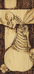 pear 3.7x8 convirted.jpg