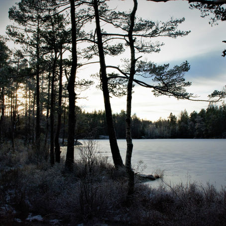 Winter wonderland