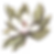 magnolia botany single_edited.png