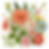 botany bouquet illustration.png
