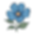 single blue flower botany.png