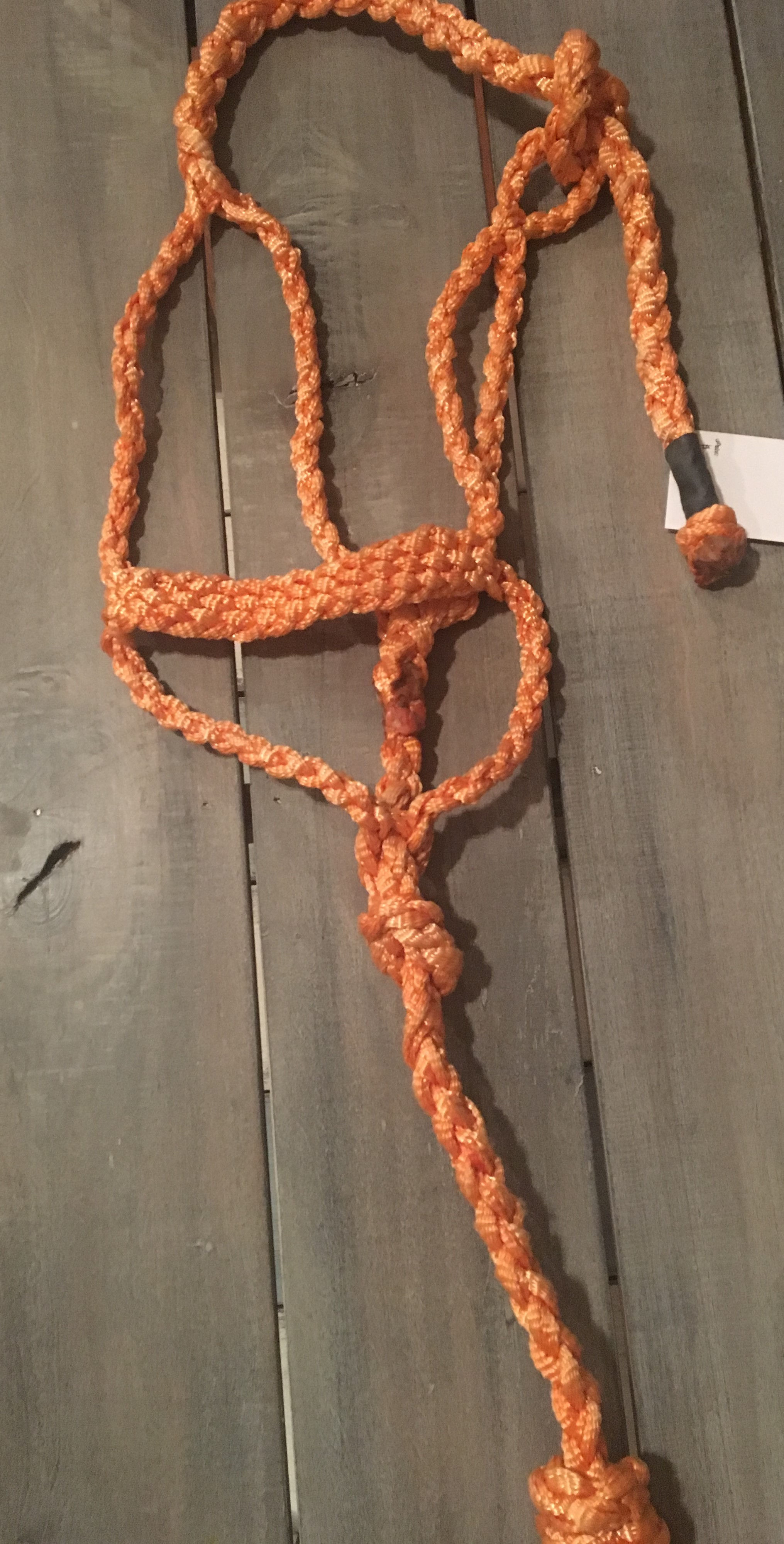 BA Orange Small Horse Halter