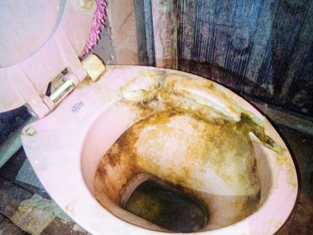 How to Fix a Toilet that won't flush