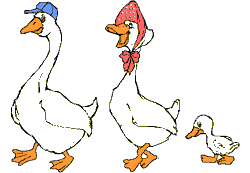 gifs-animados-animales-patos.gif