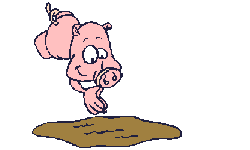 gifs-animados-graciosos-cerdo-1.gif