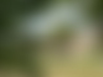 Ouverture du gîte, "les Écuries de Martin"