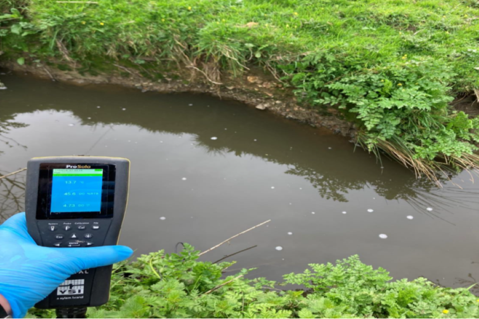 Gloved hand holds ProSolo device near a small pond with murky water. Green grass and foliage surround the water's edge.