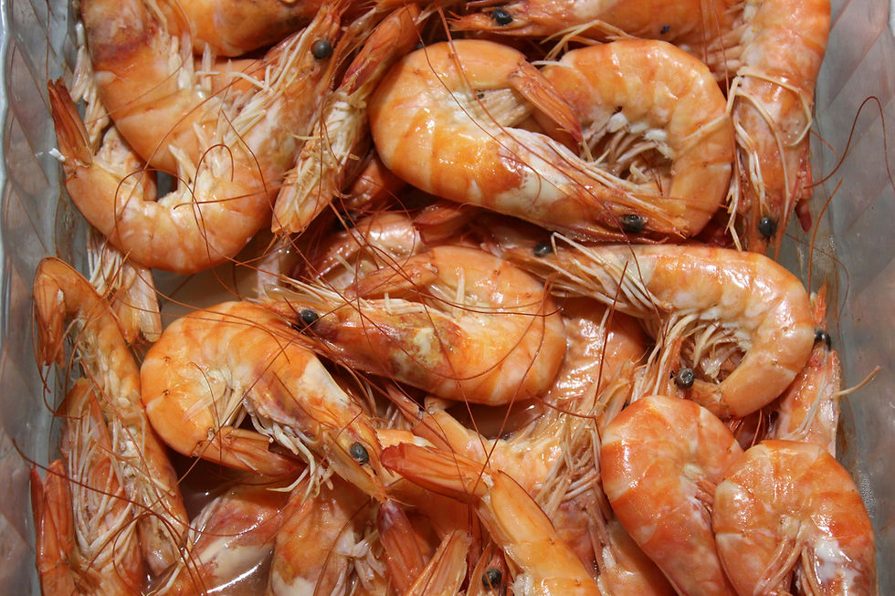 Cooked shrimp piled in a clear container, showcasing vibrant orange colors and delicate textures, creating a fresh seafood theme.