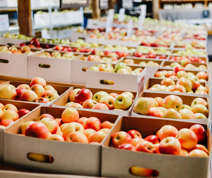 Improving Food Preservation and Shelf Life with Chitosan Coatings