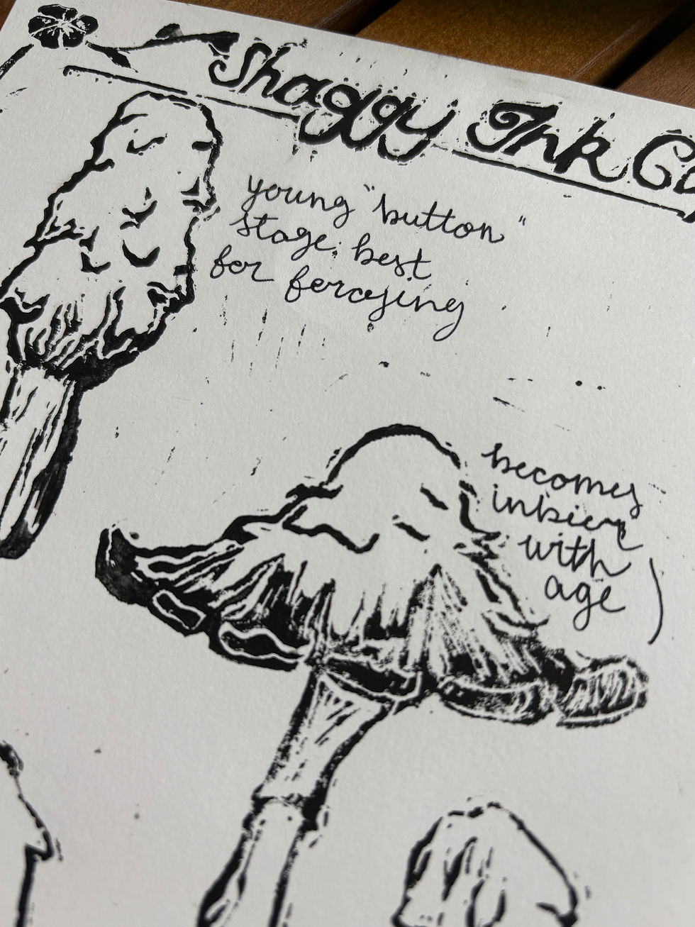 Thumbnail: Shaggy Ink Cap