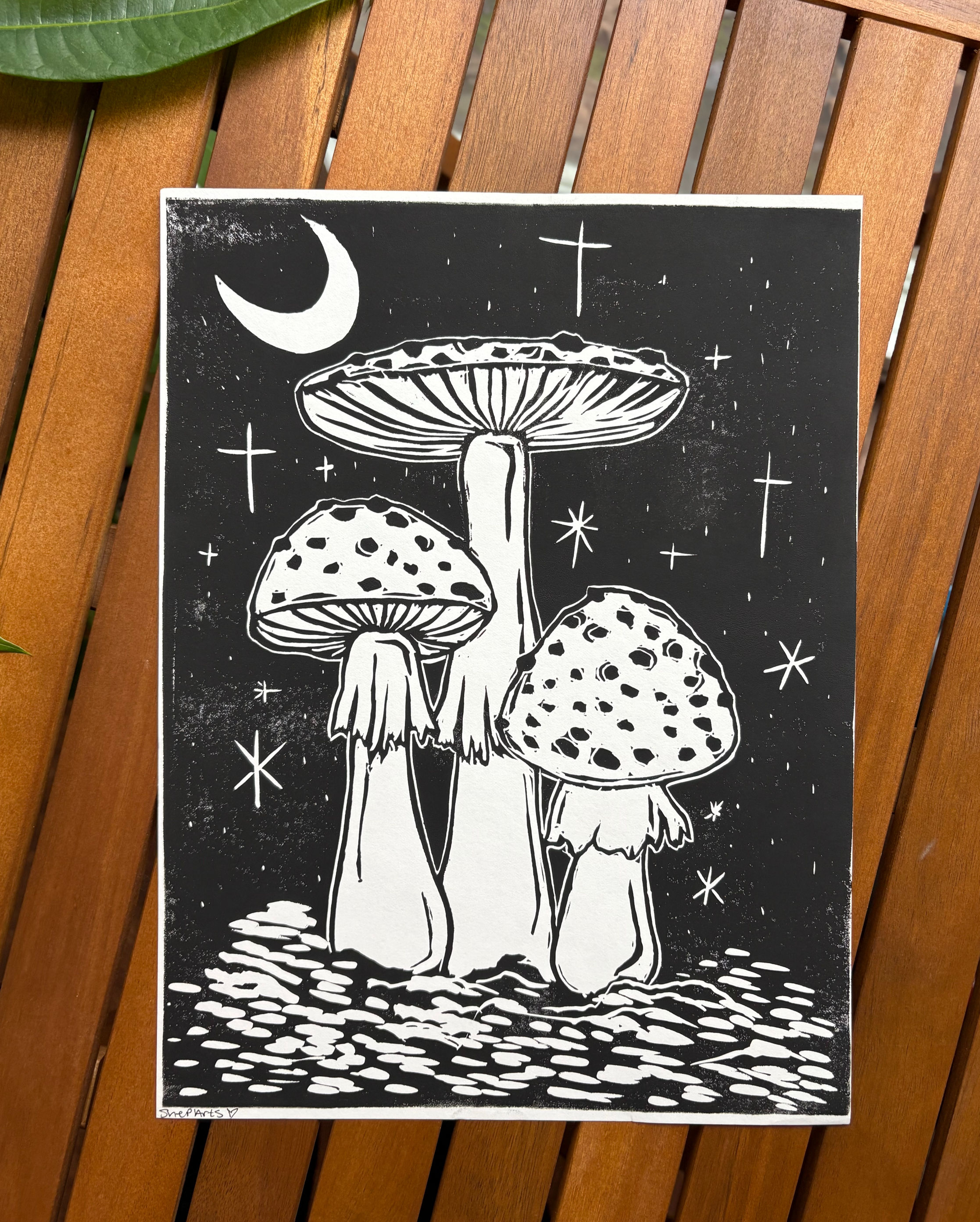 Amanita Nights