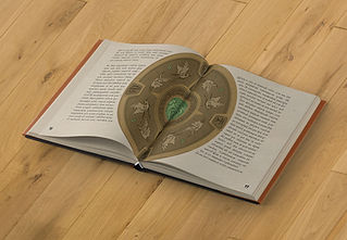 Hoshikita Interior Layout Design