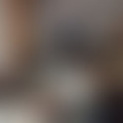 Galette des rois - 08/01/2026