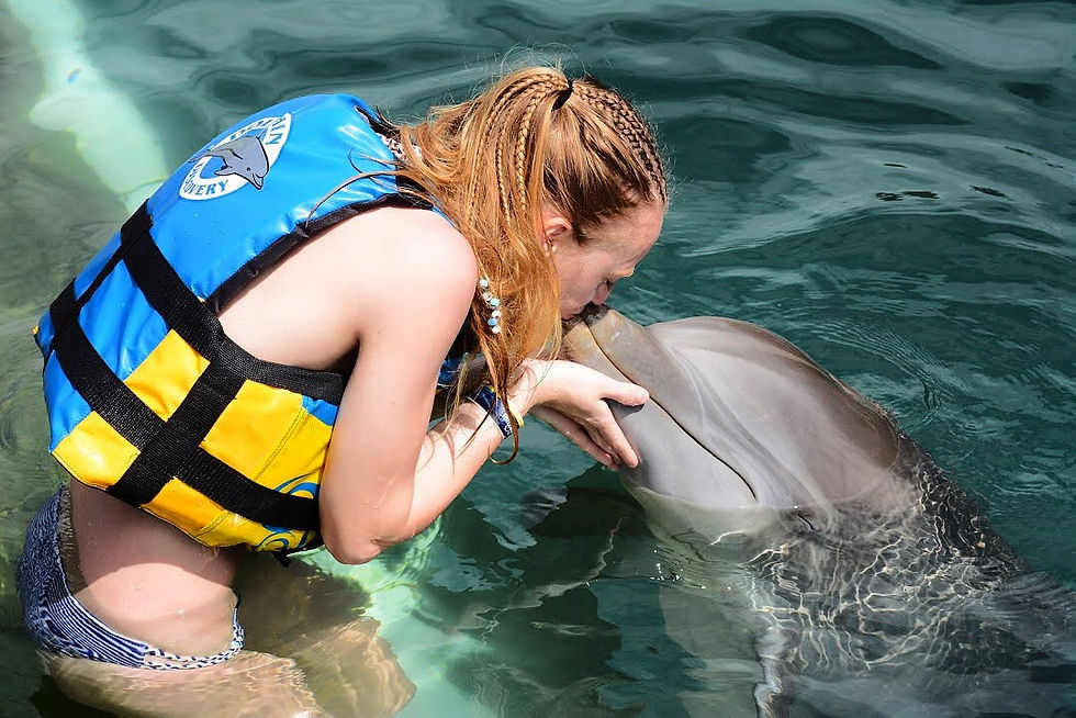 Dolphin kisses