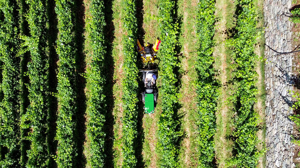 Thumbnail: Ferrari Cromo