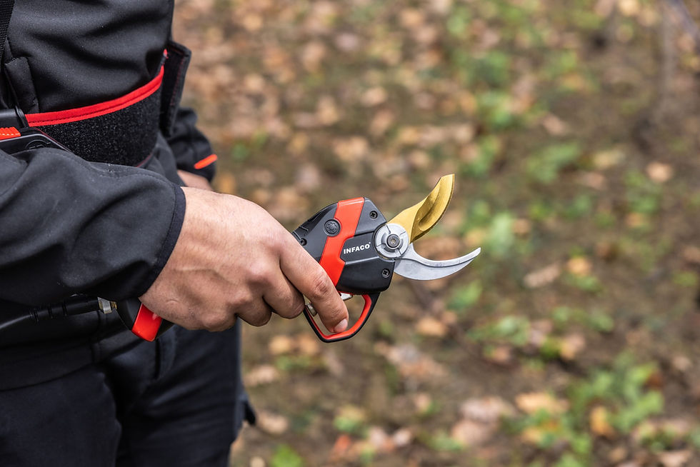 Thumbnail: Electrocoup F3020