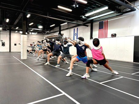 Back to fencing