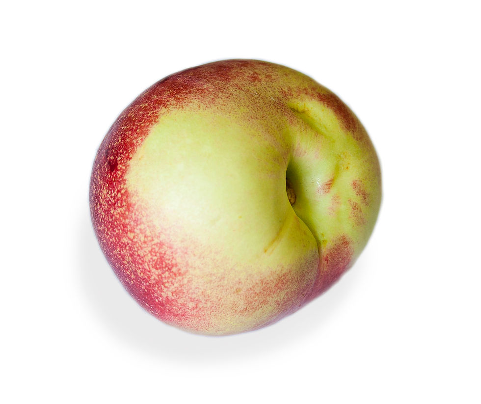 Emeroda (Nectarina)