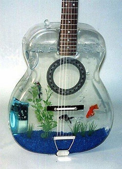 guitare-aquaruim.jpg