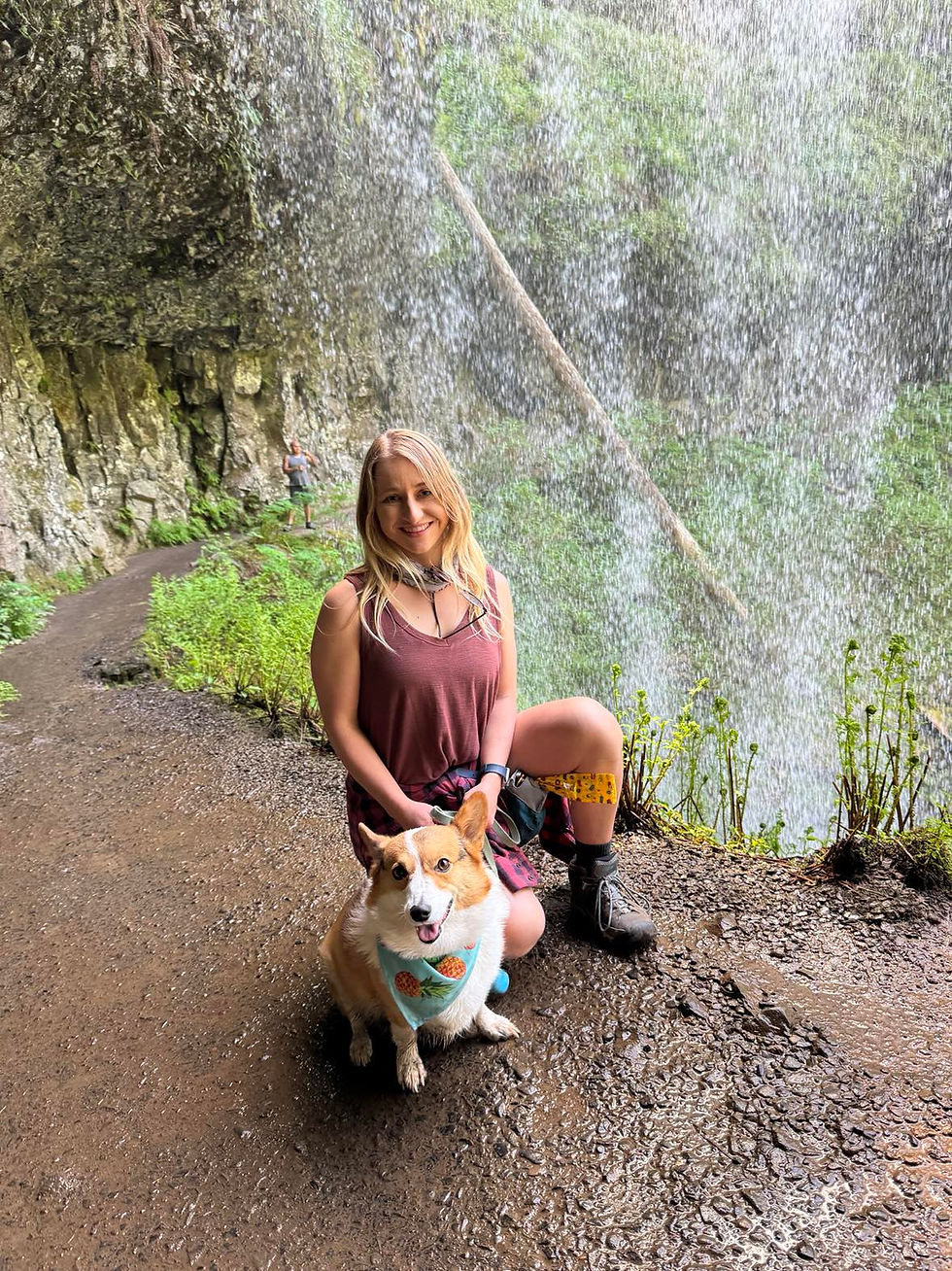 Dog Training Pawsitive Results Dog Training & Behavior Puyallup