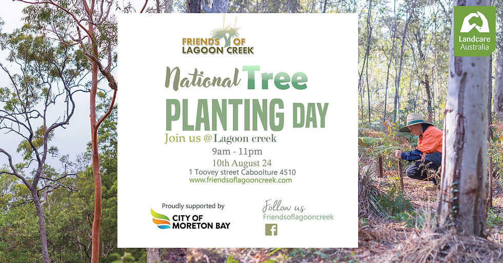 National Tree Planting Day with Friends of Lagoon Creek (1)