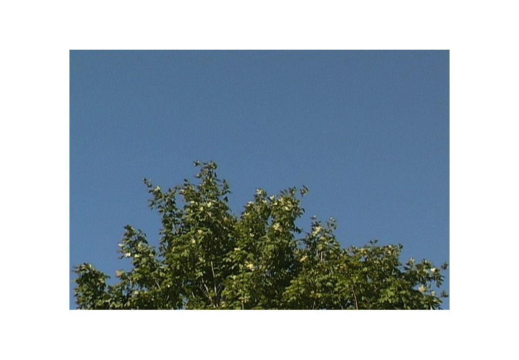 Beautiful Day