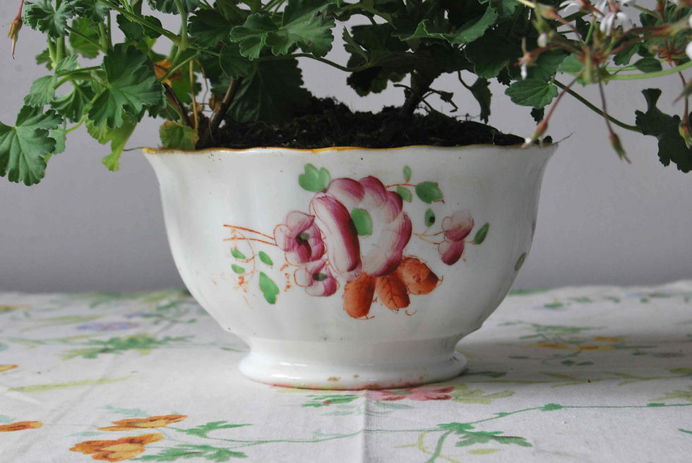 Thumbnail: Antique handpainted fluted footed bowl with P. Fragrans