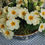 Thumbnail: Georgian Antique Pearlware bowl in 'Royal Lily' pattern VGC with primroses