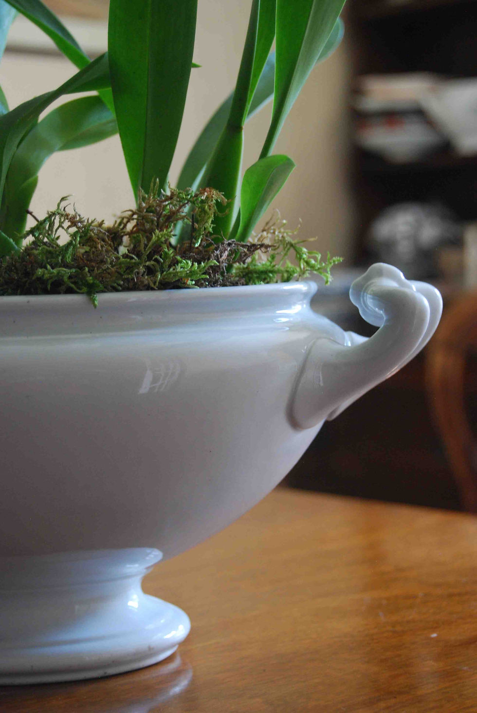 Thumbnail: Antique white ironstone tureen with Cambria orchids