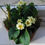 Thumbnail: Vintage Sankeys bowl filled with primroses, muscari & Tete a tete