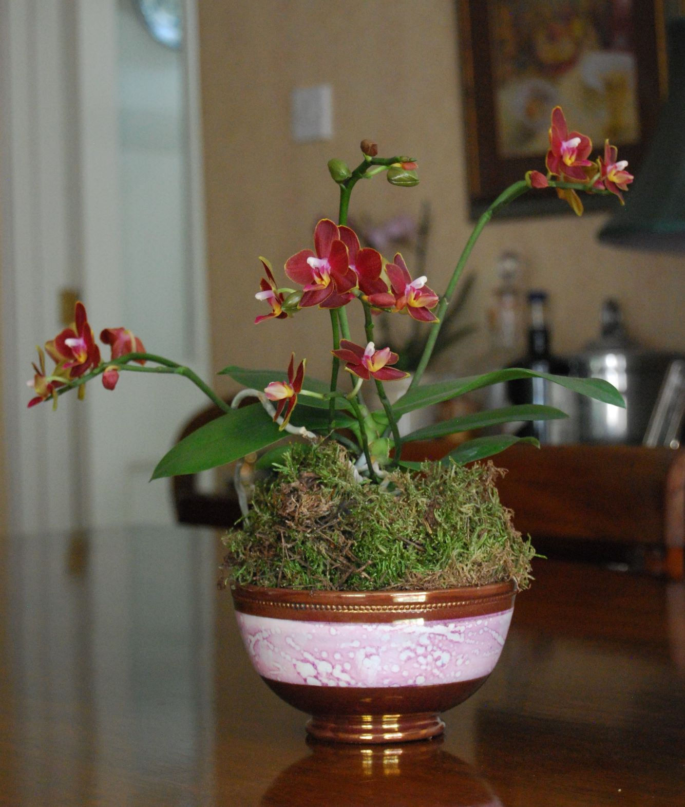 Antique pink splash Sunderland lustreware bowl with phaleanopsis