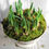Thumbnail: Antique Ironstone Pedestal Bowl planted with white miniature daffidols