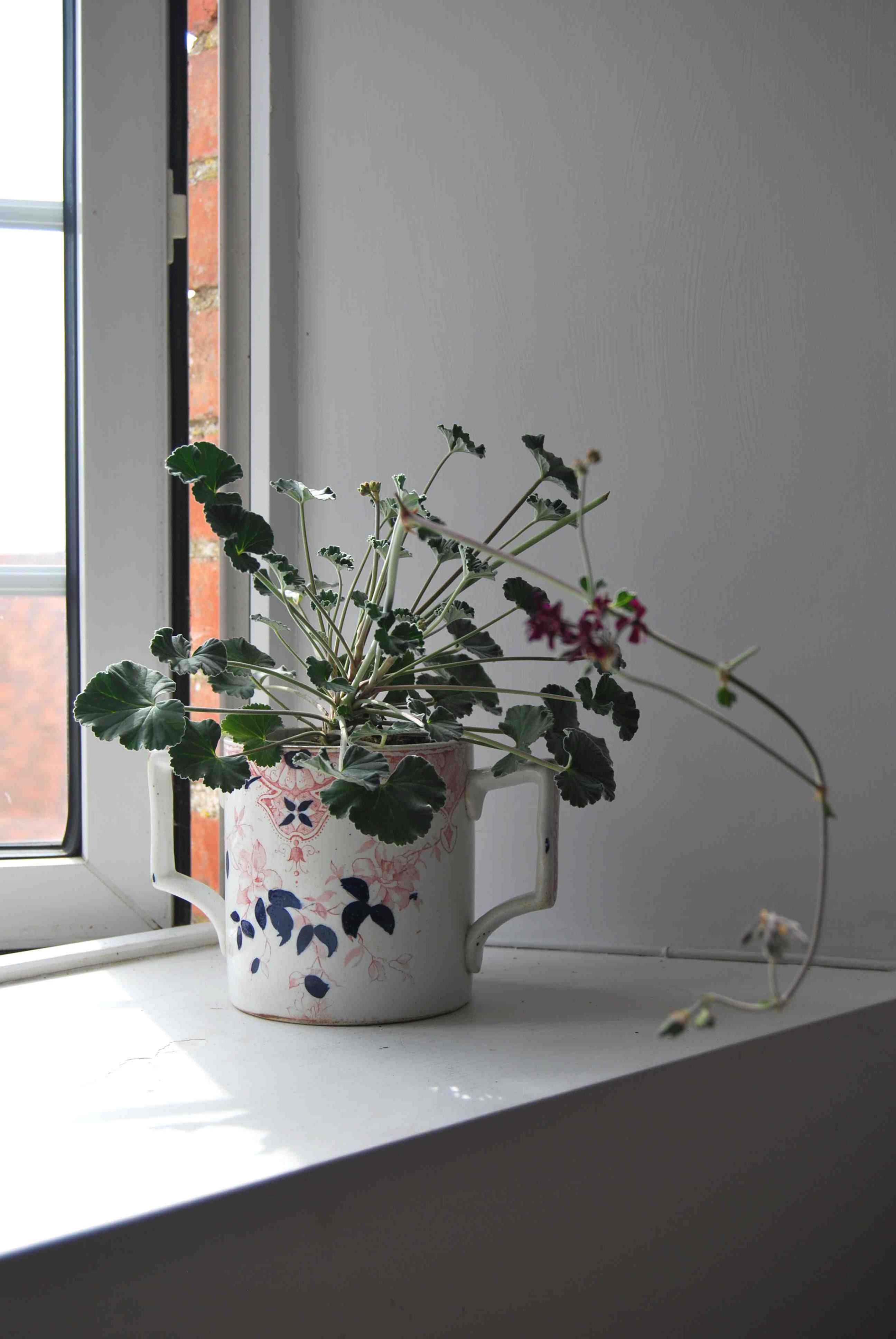 Large Transferware Victorian Ironstone Loving Cup with P. Sidoides