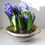 Thumbnail: Vintage Bone China tureen hyacinth planter