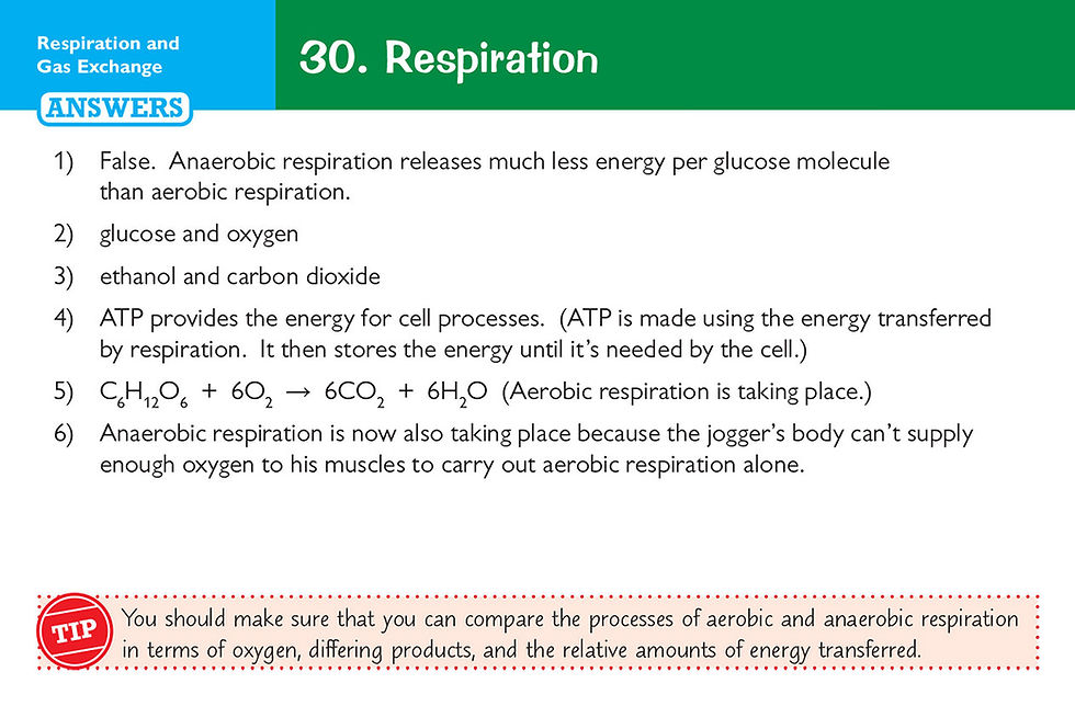Thumbnail: Edexcel International GCSE Biology: Revision Question Cards
