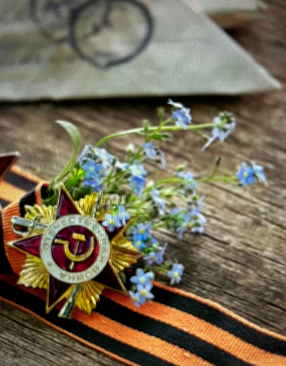 WJEC EDUQAS POETRY: MAMETZ WOOD