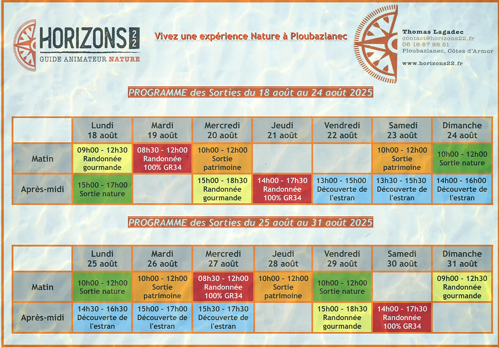 Sortie 18 Août-31 Août 2025_edited.png