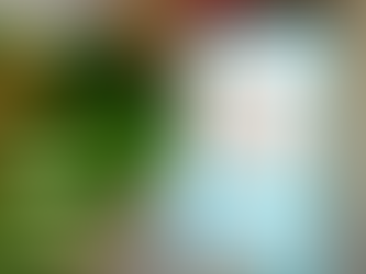 On Writing Well - William Zinsser