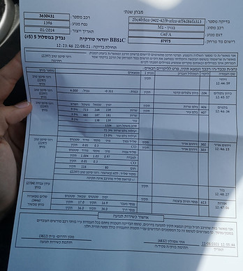 current faults page.jpeg