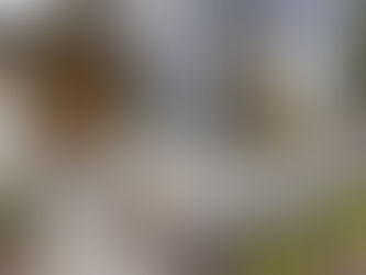 The Top 5 Most Durable Siding Materials