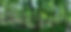 d2e5634b-1571-413e-95b3-be8458bff42c.JPG