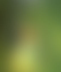 Book review: The Secret in the Old Attic (Nancy Drew #21)