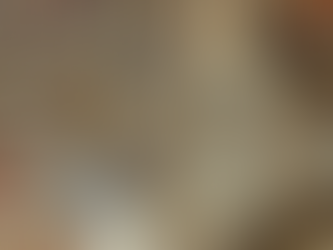 Musei Vaticani! Facciamo un tour virtuale