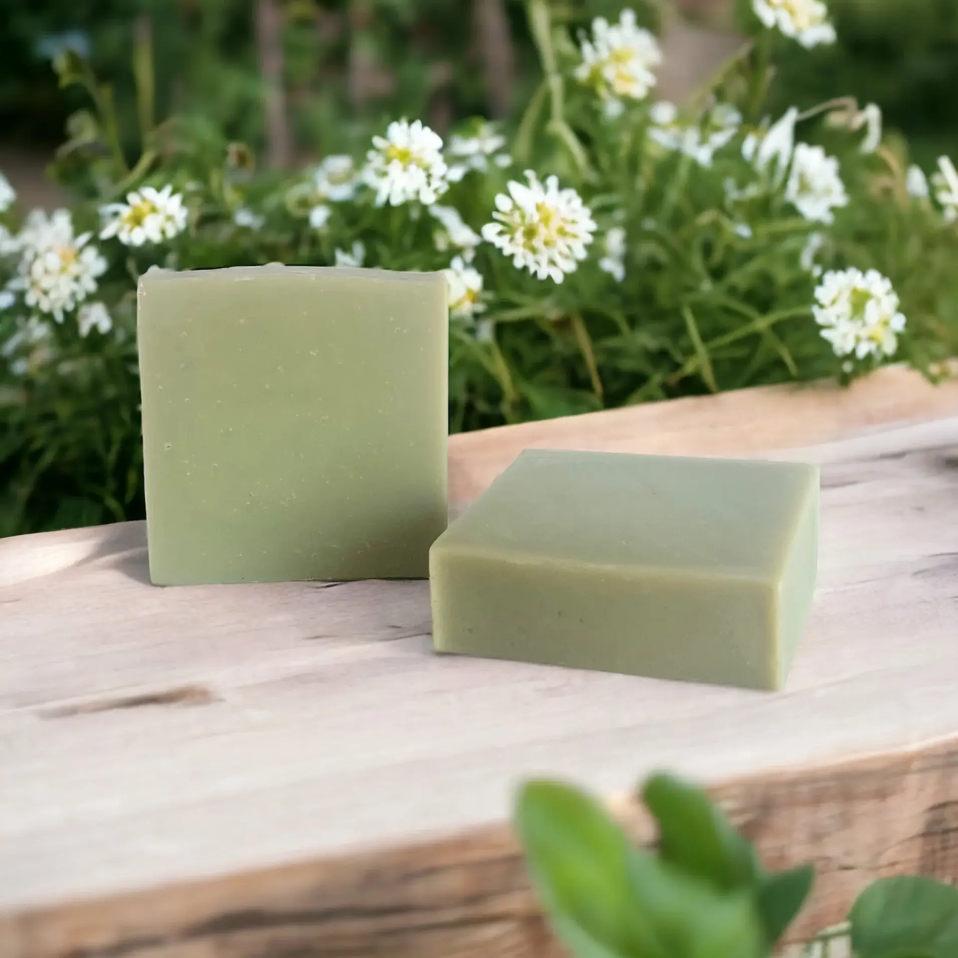 Wylde Sage (Hemp Seed Oil)