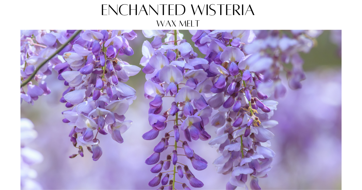 Enchanted Wisteria Wax Melt