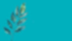 website background image 2024 copy_edited.jpg
