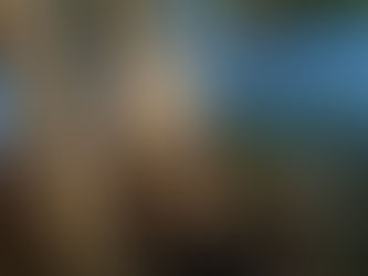 May 28, 2024 - Bird Tour No. 21, Owl Tour No. 10