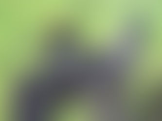 June 28, 2024: Friday Evening Bird Tour No. 33