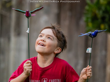 November 2023 - Finally Broke-down and got the Nikon Z8 Mirrorless